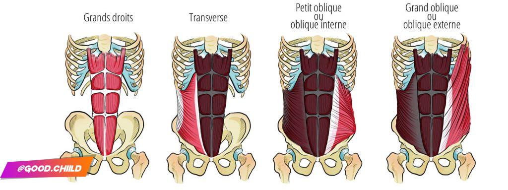 ABDOMINAUX, Exercices pour muscle abdominaux : petit oblique